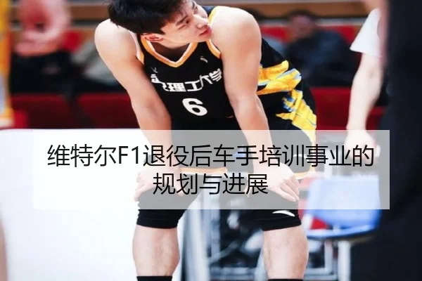 维特尔F1退役后车手培训事业的规划与进展（loljiangcai）
